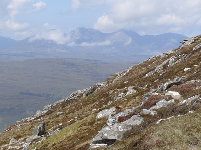 [S10559403.jpg]