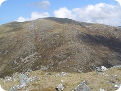 S1055955