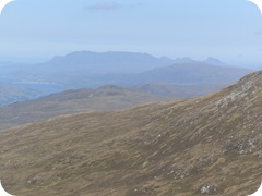 S1055956