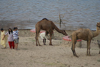 Jai Samand - A Lake Resort , Near to Udaipur , Rajasthan