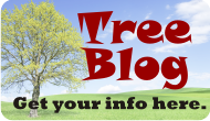 tree blog