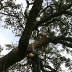 hangin' out waiting for help.