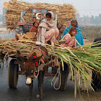 Sargodha-Jan17-10 Sargodha-Jan17-10