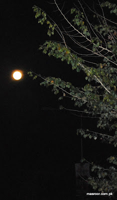 2010-moon