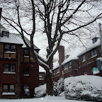 DSC04365.JPG