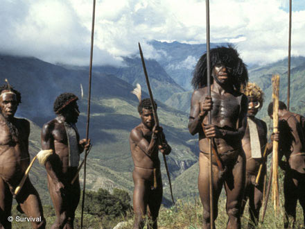 Asmat Tribe http://lh4.ggpht.com/_v0KUTPU8vXE/Svv5SofCSuI/AAAAAAAAAHI/G_121bpx5sw/s800/photo-z-asmat2.jpg