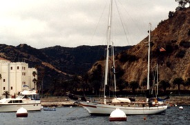 SoCal 22 Cat Casino SoCal 22 Cat Casino