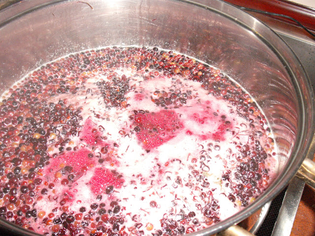 DSCF0329.JPG