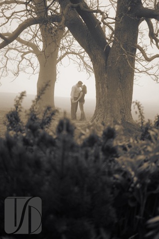 [DSC_0274[5].jpg]