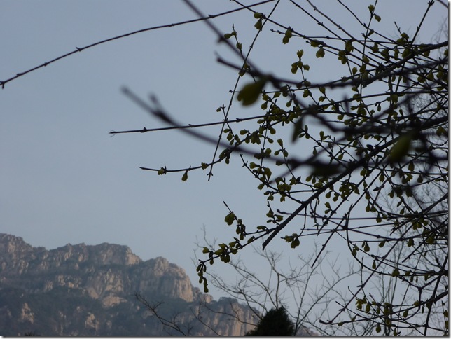 P1010830