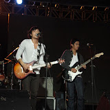IMG_7719 (Large).JPG