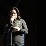 IMG_7484 (Large).JPG