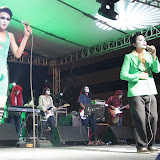 IMG_7341 (Large).JPG
