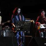 IMG_7337 (Large).JPG