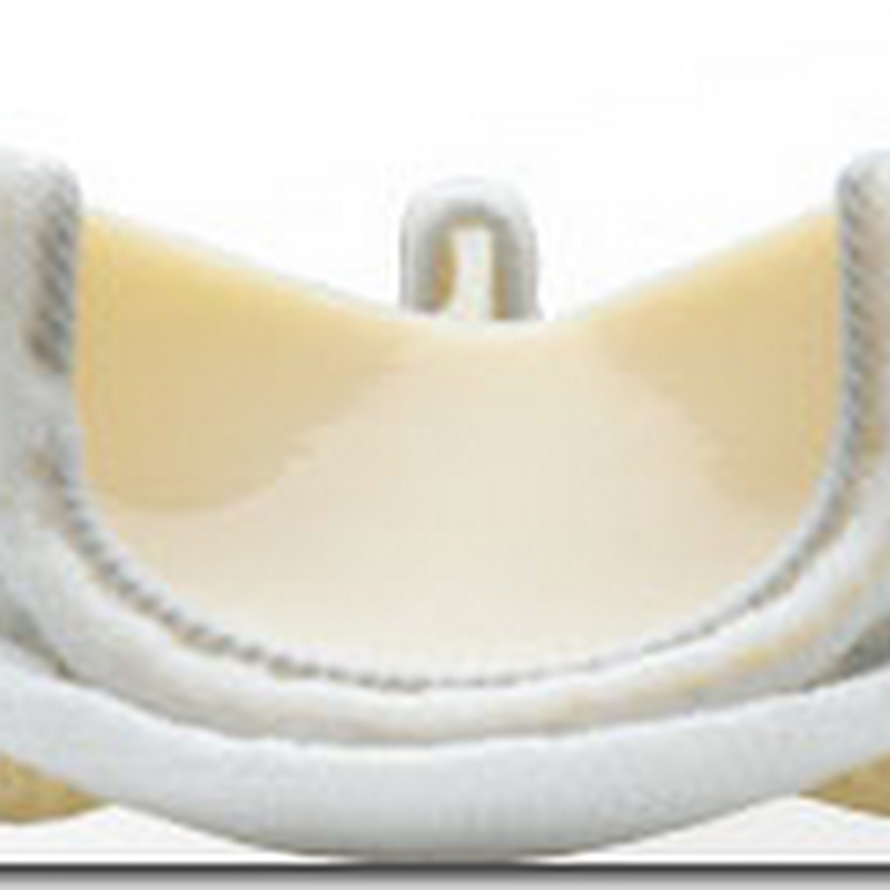 Edwards Lifesciences Receives FDA Approval For Magna Ease Aortic Valve