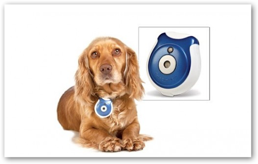 If i study on adderall sh