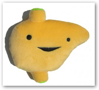 Who has had stomach problems on sertraline