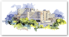 Cigna Healthcare Provider In Huntington Beach California Cigna Healthcare Provider In Huntington Beach California