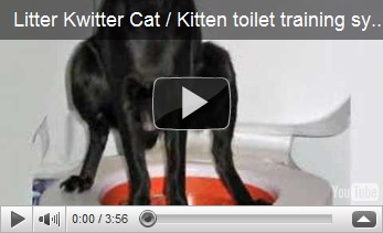 toiletpoop