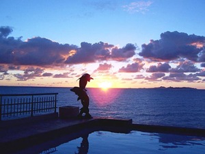 Dolphins model and sunset at St Maarten Island Holiday Destination