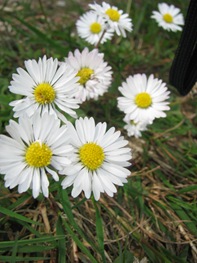 [IMG_18724.jpg]