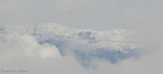 [montseny nevat[12].jpg]