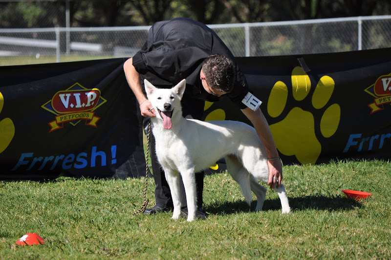 Freyja and Dale at the WSSDCA Nationals 2009