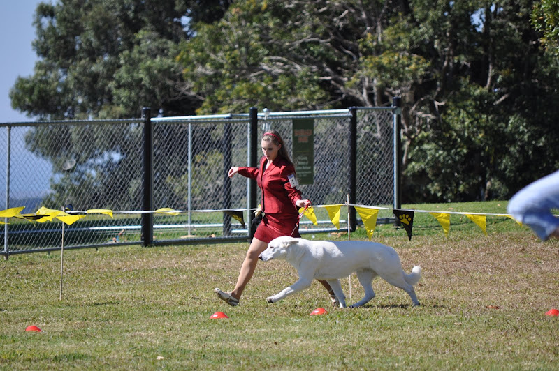 Baldr and Clare at the show