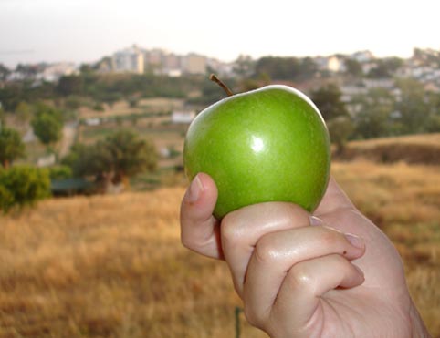 A minha fotografia