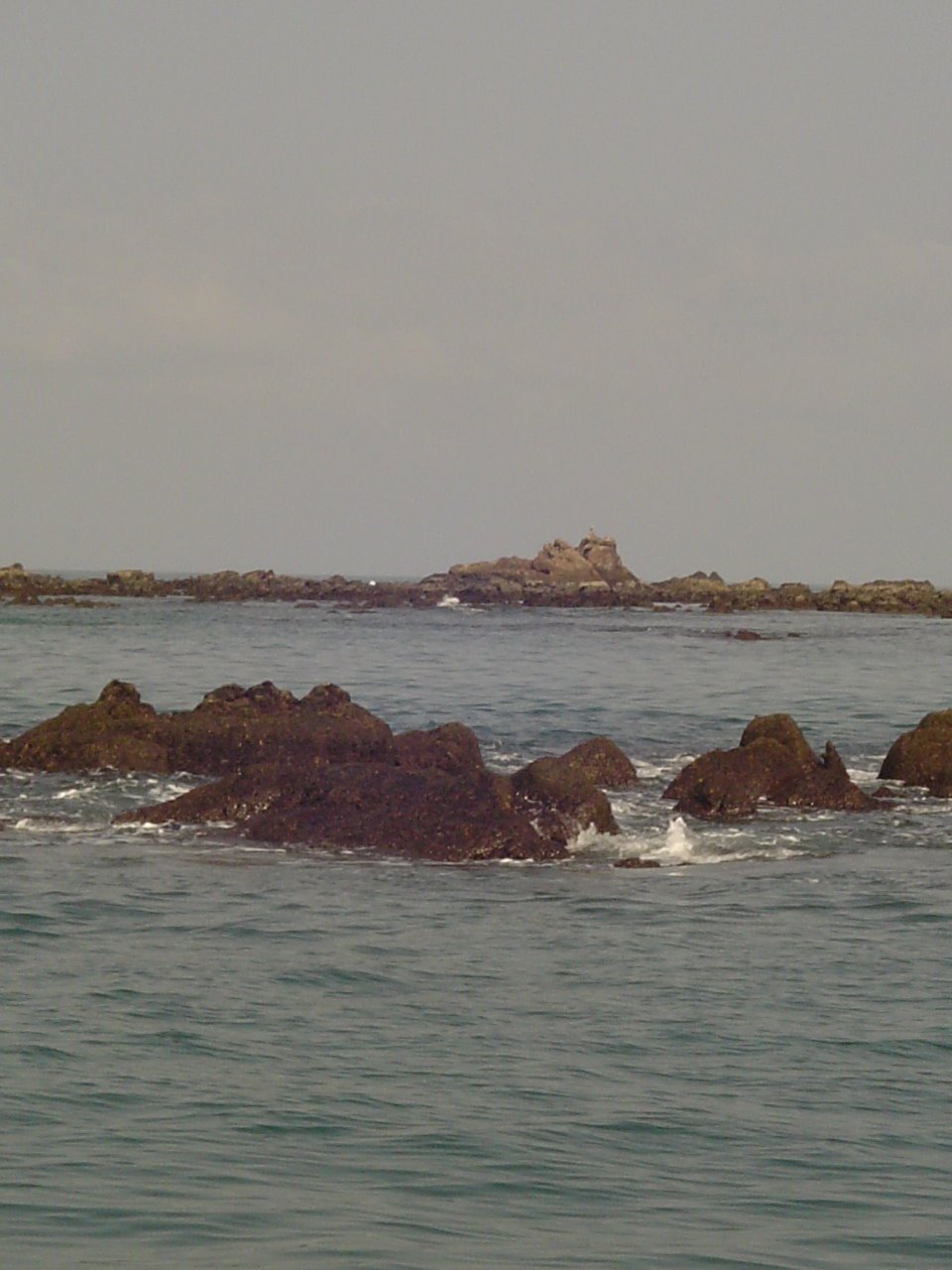 [DSC00254.JPG]