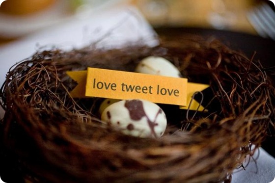 Sara France Photo love tweet love lovebird theme nest eggs