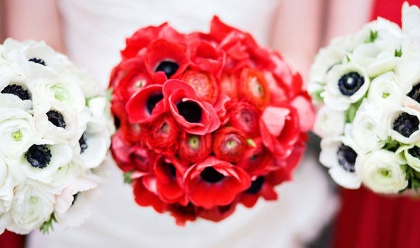 [wedding white red anemones bouquet[6].jpg]