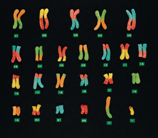 [chromosomesweb[6].jpg]