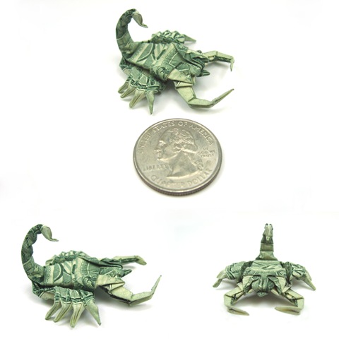 [New_pics__Dollar_Scorpion_by_orudorumagi11[5].jpg]