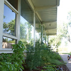 DSC07109.JPG
