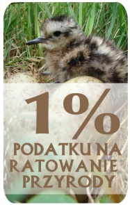 1 % podatku na ratowanie przyrody