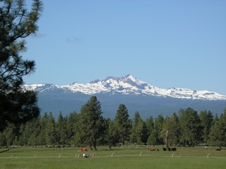 TripToKimrys 027