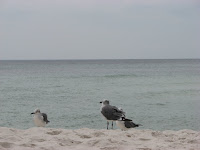 IMG_2683.JPG