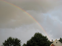 IMG_3288.JPG