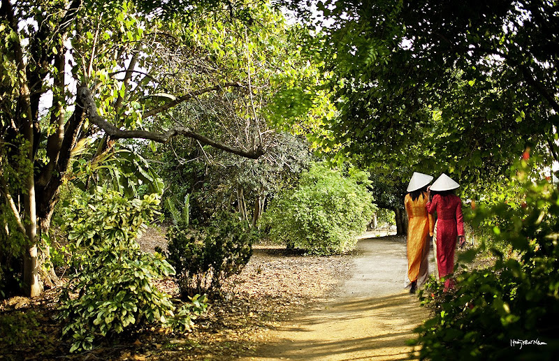 photos by Hoàng Khai Nhan