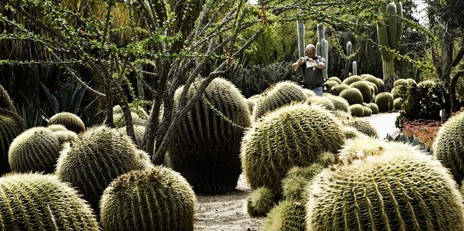 Huntington Library Botanical Gardens