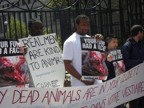 [peta1[2].jpg]