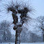 20100103_5098.JPG