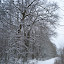 20100110_5135.JPG