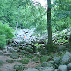 20090522_3807.JPG