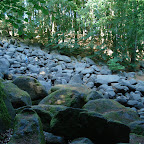 20090522_3800.JPG