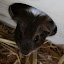 20090614_0262.JPG