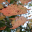 DSC05201.JPG