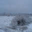 20091213_5033.JPG