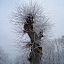 20091213_5039.JPG